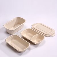 Disposable Tableware From China