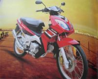 Cub(VX110-A