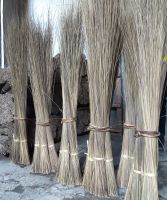 Palm Broomstick