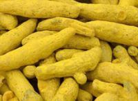 Tumeric Fingers