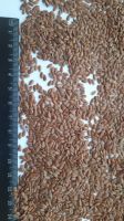 Flax seeds (brown) / Flax (brown)