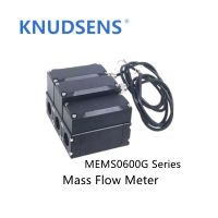 MEMS0600G Series Oil &amp;amp; Gas Flow Meter