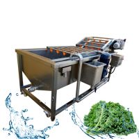 Industrial vegetable washing machine fruit cleaning machine tomato washer From China