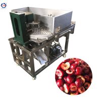 Dry Dates Pitting Fruit Kernel Removing Machine Jujube Seed Remove Machine