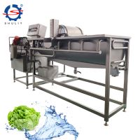 Automatic Vegetable Salad Washing Machine Orange Lemon Mango Strawberry Washer