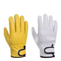 White Grain Goat Skin Leather Wing
