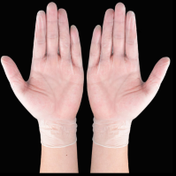 Clear PVC Disposable Gloves Food Safety