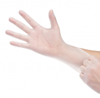 Vinyl Gloves Powder Free Factory Wholesale