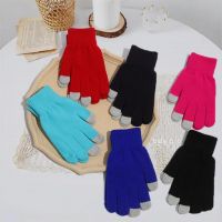Men's and Women's Touchscreen Gloves for Winter Cold Protection and Warmth, Knitted Pure Color, Wear-resistant, Wholesale