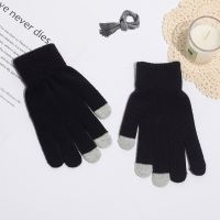 Direct-sale Touchscreen Gloves, Thick and Plush Winter Thermal Gloves with Touchscreen Function Wholesale Sourcing Available