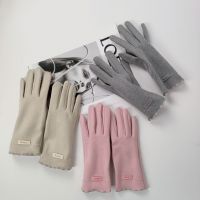 Thick-fabric Warm-touchscreen Gloves For