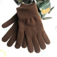 Customizable Acrylic Warm Gloves With Thick