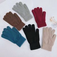 Acrylic Knitted Warm-keeping Gloves - Thickened