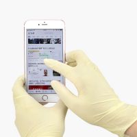 The factory uses 9-inch latex gloves. These are industrial-grade, powder-free, purified, disposable latex gloves for clean rooms