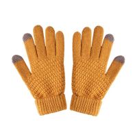 Winter double-layer thick and warm gloves with added insulation for cold protection and wind resistance, suitable for cycling