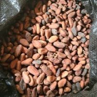 Cocoa Beans