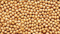 Soybeans