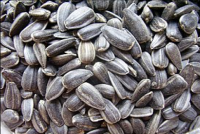 Sunflower seeds