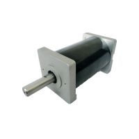 Robust Brushed DC Motor-D91127