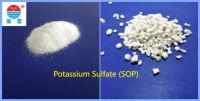 Potassium Sulfate