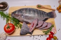 BLACK TILAPIA