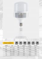  Factory Direct LED Light LED Die-Casting Aluminum E27/E26 IC T Bulb 20W 30W 40W 50W 60W 70W 80W for Indoor Lighting