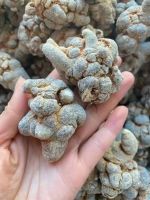 Herb Medicine of China