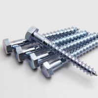 Hexagon Wood Screws Steel with Zinc Plated BZP YP M6-M12