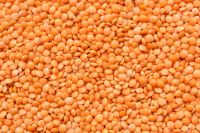 Red Lentils Whole or Split