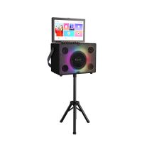 karaoke loudspeaker Wholesales Partycube