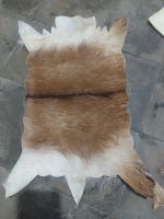 RAW Goat Skin