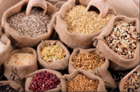 Wheat grains From Romania