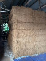 Cocofiber / Coir ...