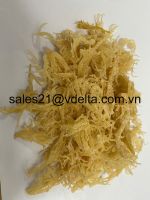 Dried Sea moss/ Wildcrafted sea moss/ Eucheuma Cottonii/ Irish moss from ocean Vietnam / Lima +84 346565938 (whatsapp)