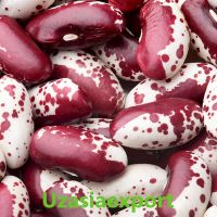 Kidney Beans Available Red and Black