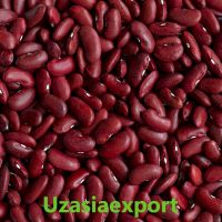 Kidney Beans Available Red And Black