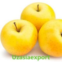 Fresh Apples Red, Yellow And Green