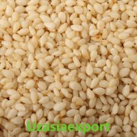 Sesame Seeds