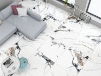 Porcelain and Ceramic tiles From India