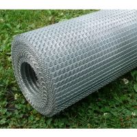 Welded Wire Mesh Galvanized and PVC coating Wire Netting Construction Mesh From China