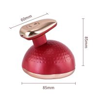 Body Weight Loss Cellulite Massager Ems Rf Home Facial Machine