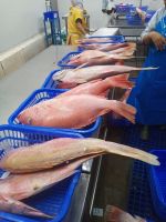 Bharaya Seafood