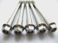 Titanium Flange Head Bolt Best Quality From China