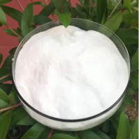 High Quality 99% 98% Lithium Chloride Licl Cas 7447-41-8