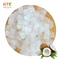 Hot trending 2024 Nata De Coco in Syrup Coconut Jelly for Food and Beverage made by HTK Food Factory in VietNam