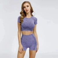 ladies seamless short sleeve top sportswear gym wear yoga wear sports wear fitness and active wear