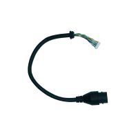 001 Mx1.25-8Pin Rj45 Mother Wiring Harness With Connector Detail At Both Ends Of Line End For IP Camera Cable