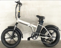 E-bikes