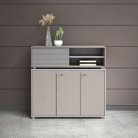 Office furniture 1.2m Short Cabinet Filing Cabinets file Cabinet