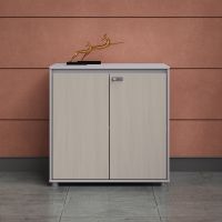 Office furniture 0.8m Short Cabinet Filing Cabinets file Cabinet